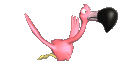 flamingo_flying_med_cl
