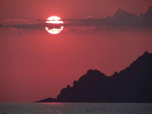 10362928_570495209745701_3495466391916867737_n