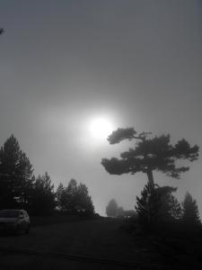 10469087_591737934288095_4804236746571171016_n