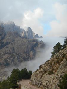 10659320_591737874288101_7656664842785749732_n