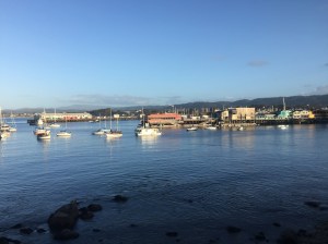 Before dinner a two mile walk along Monterey bay over to Cannery Row