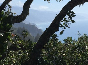 ...with its spectacular view