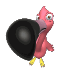 flamingo_closeup_peeping_md_clr__st