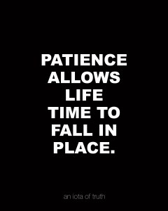 Patience-allows-life-time-to-fall-in-place.8x10