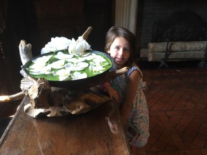This lily pad display even mimicking the pond scum
