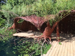 Another unusual entry 